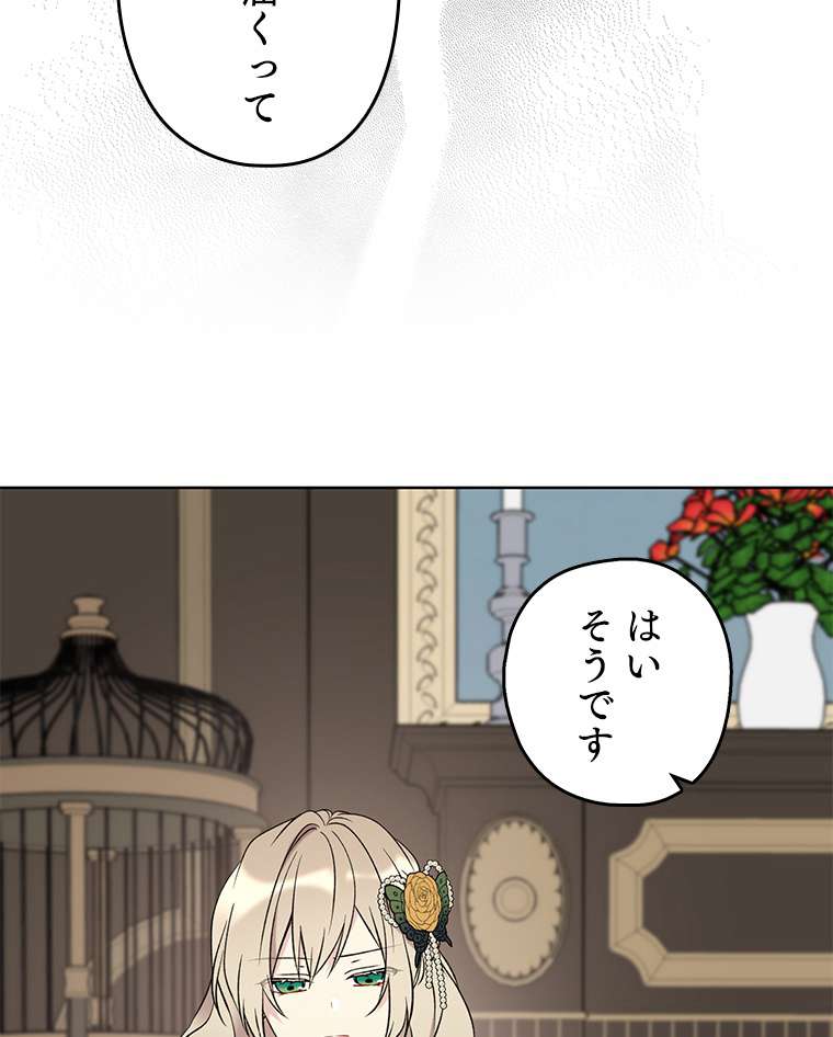 P66