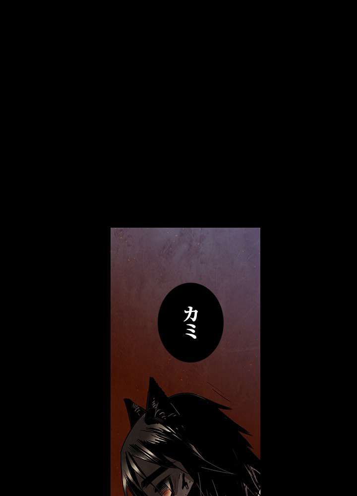 P63