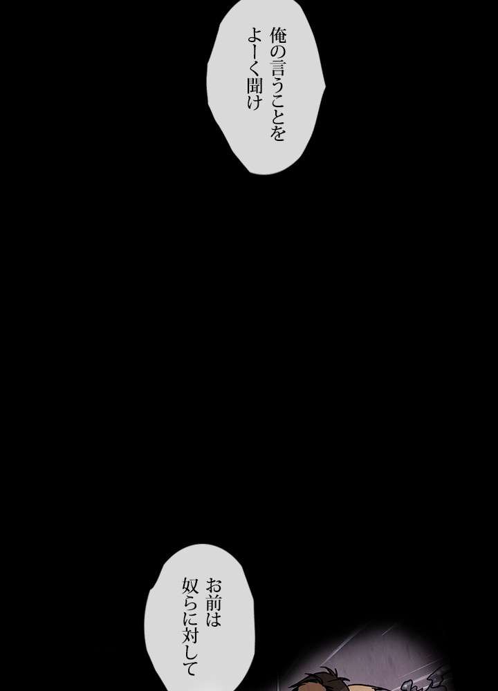P66
