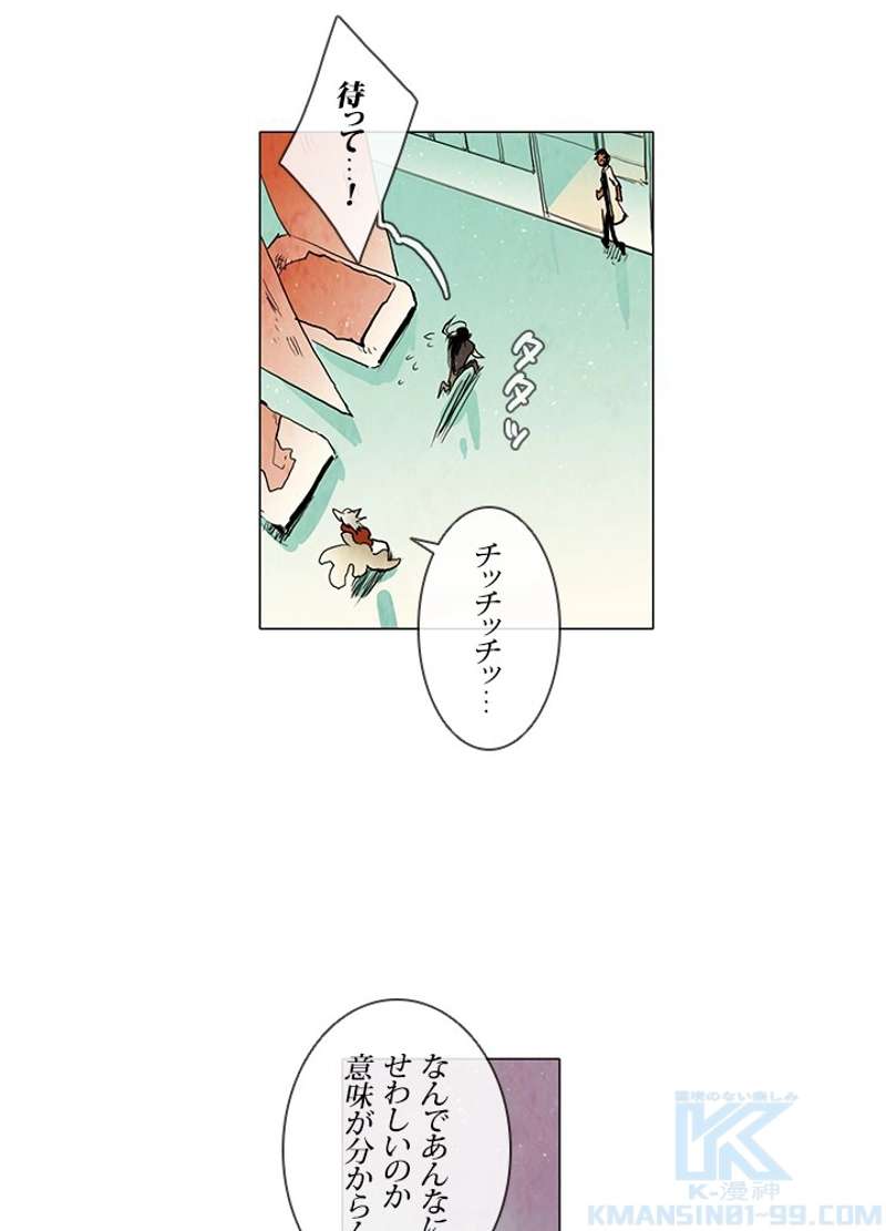 P58