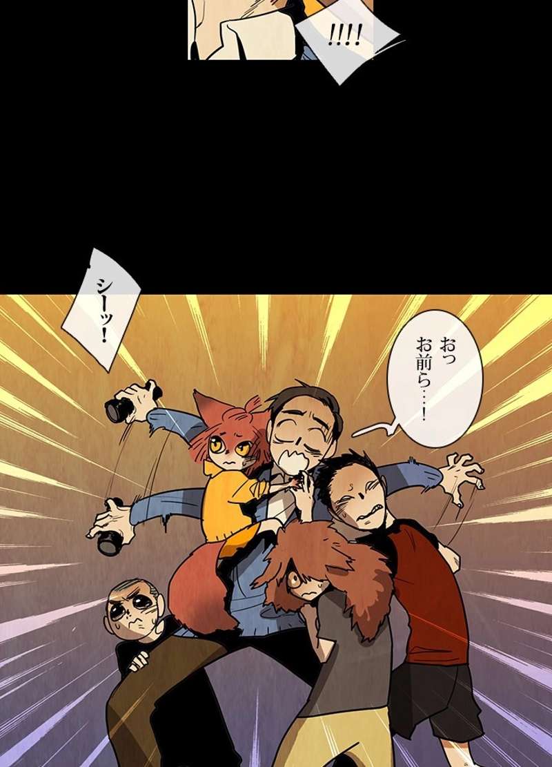 P53