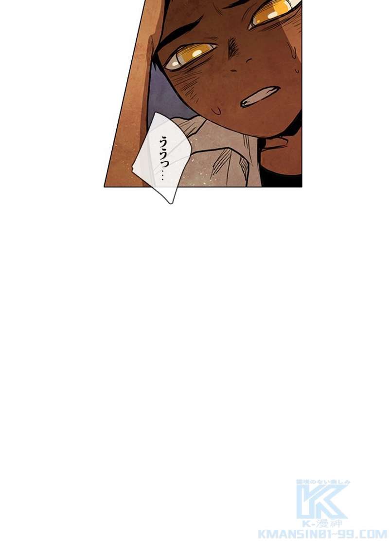 P61
