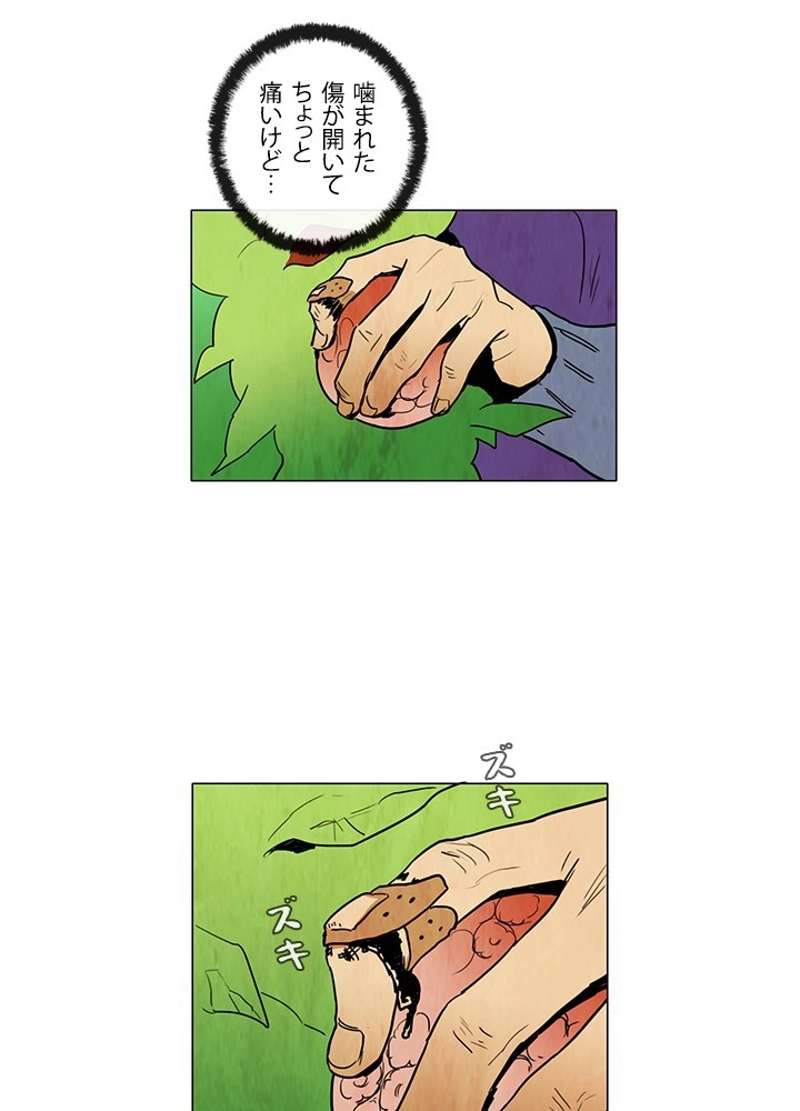 P48
