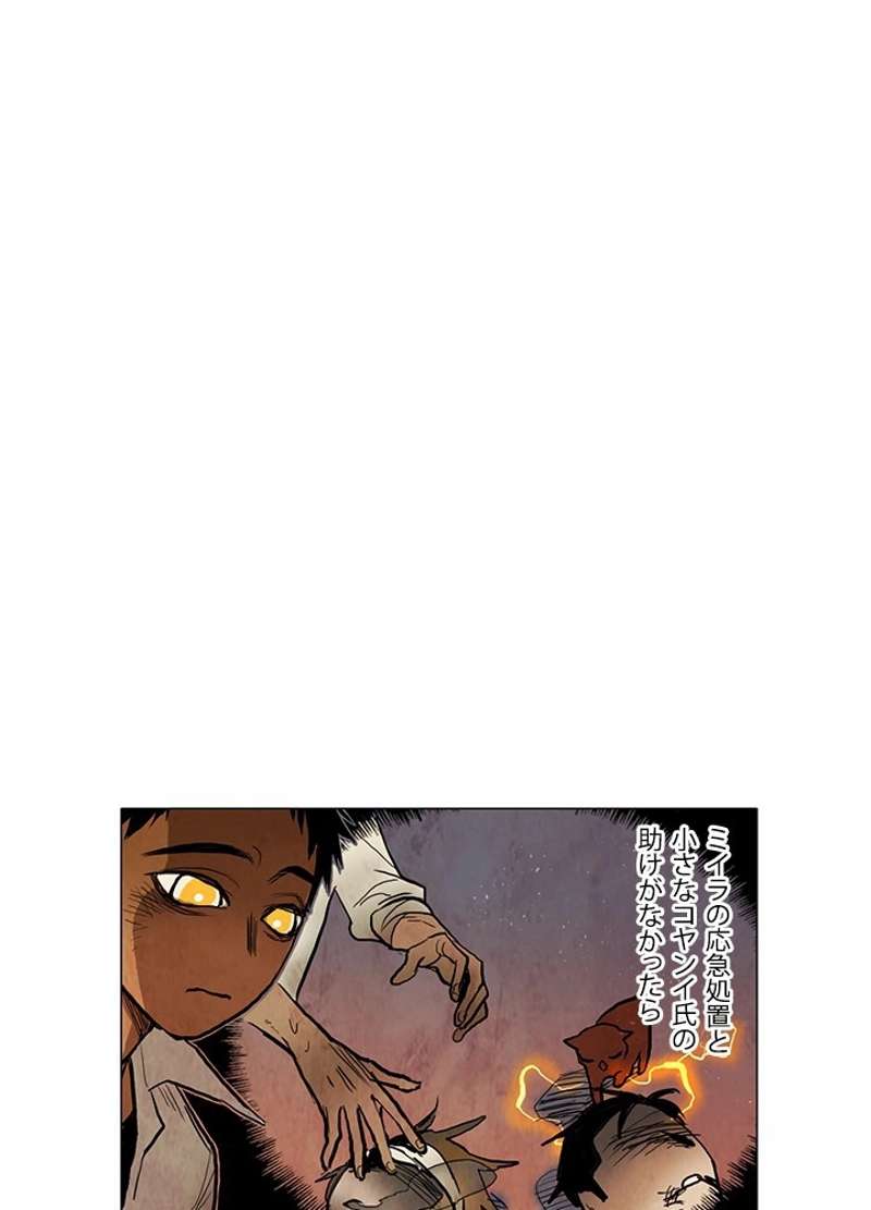 P53