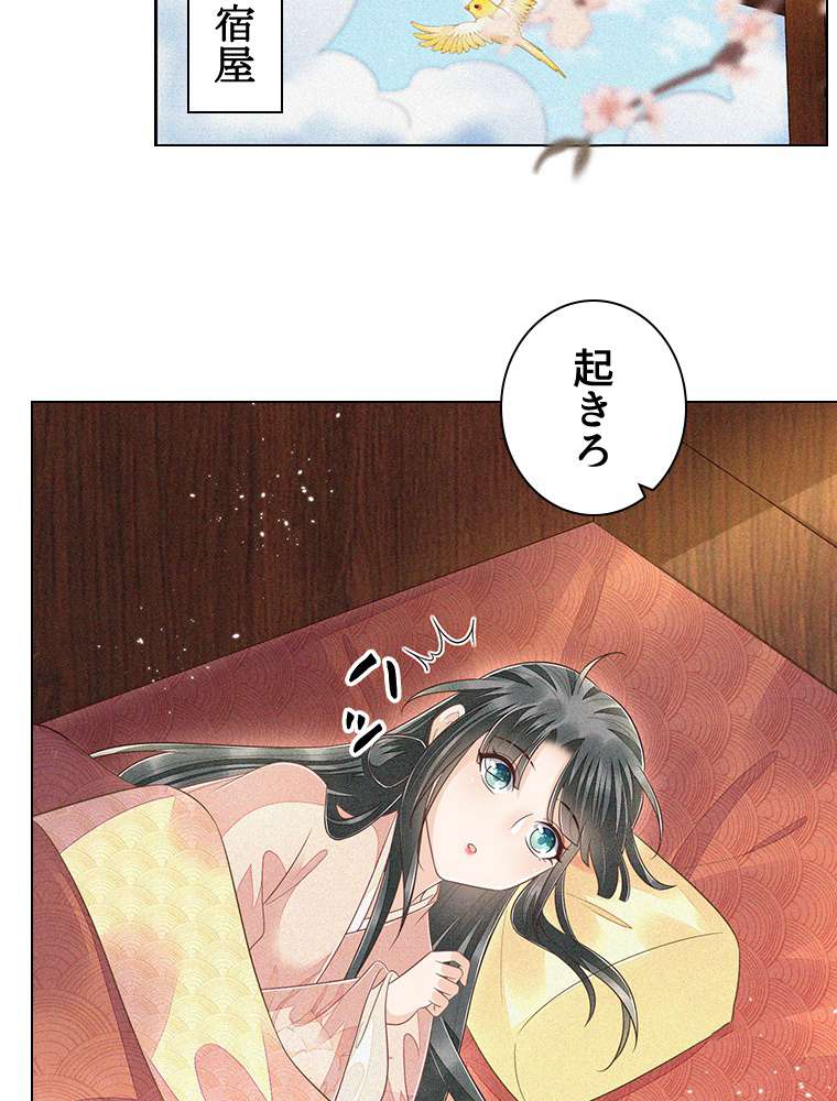 P17
