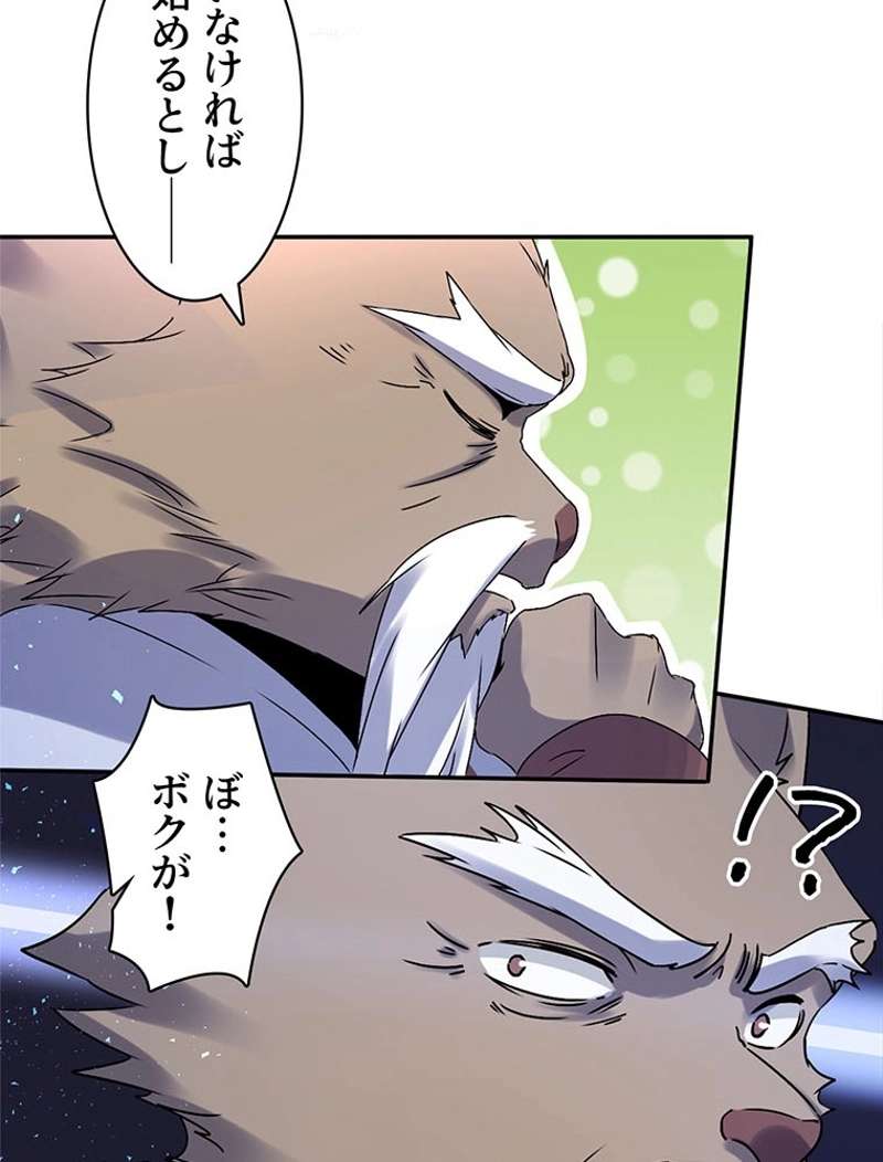 P44