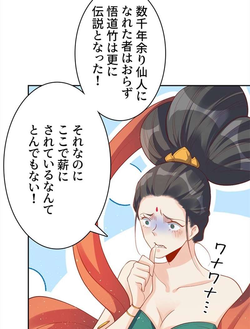P53