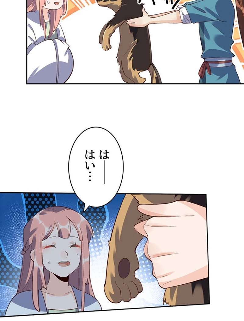 P53