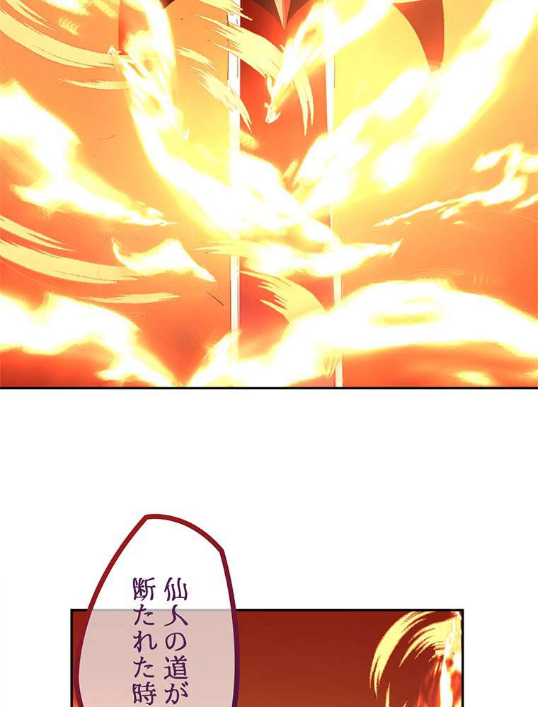 P53