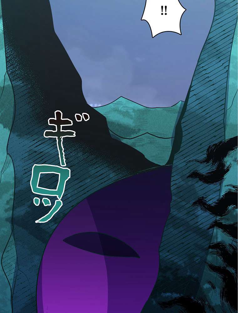 P66