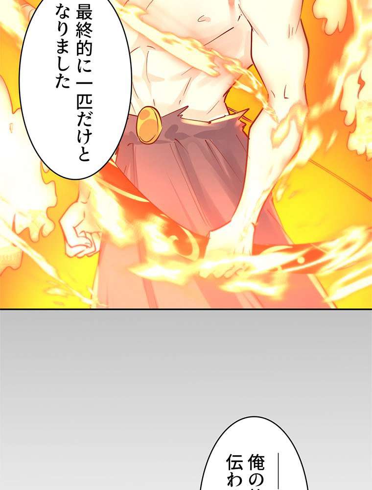 P24