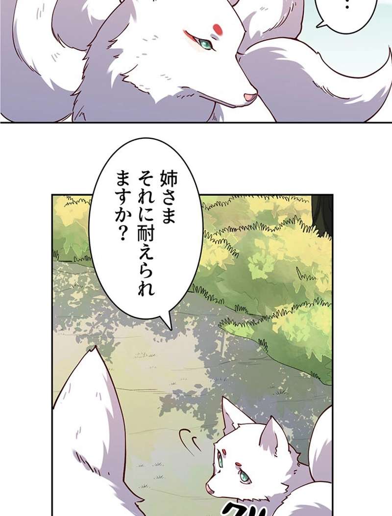 P41