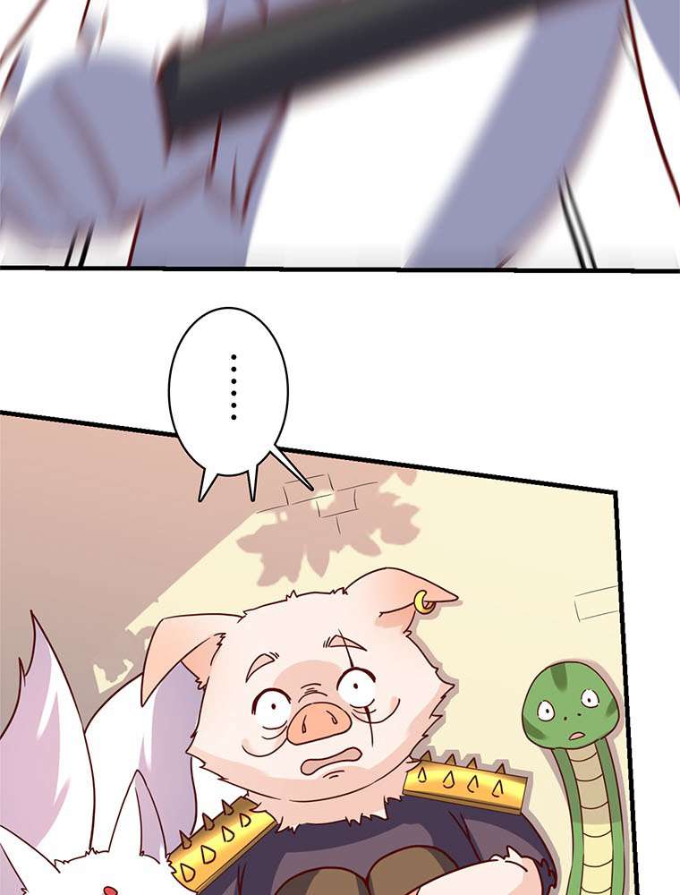 P62