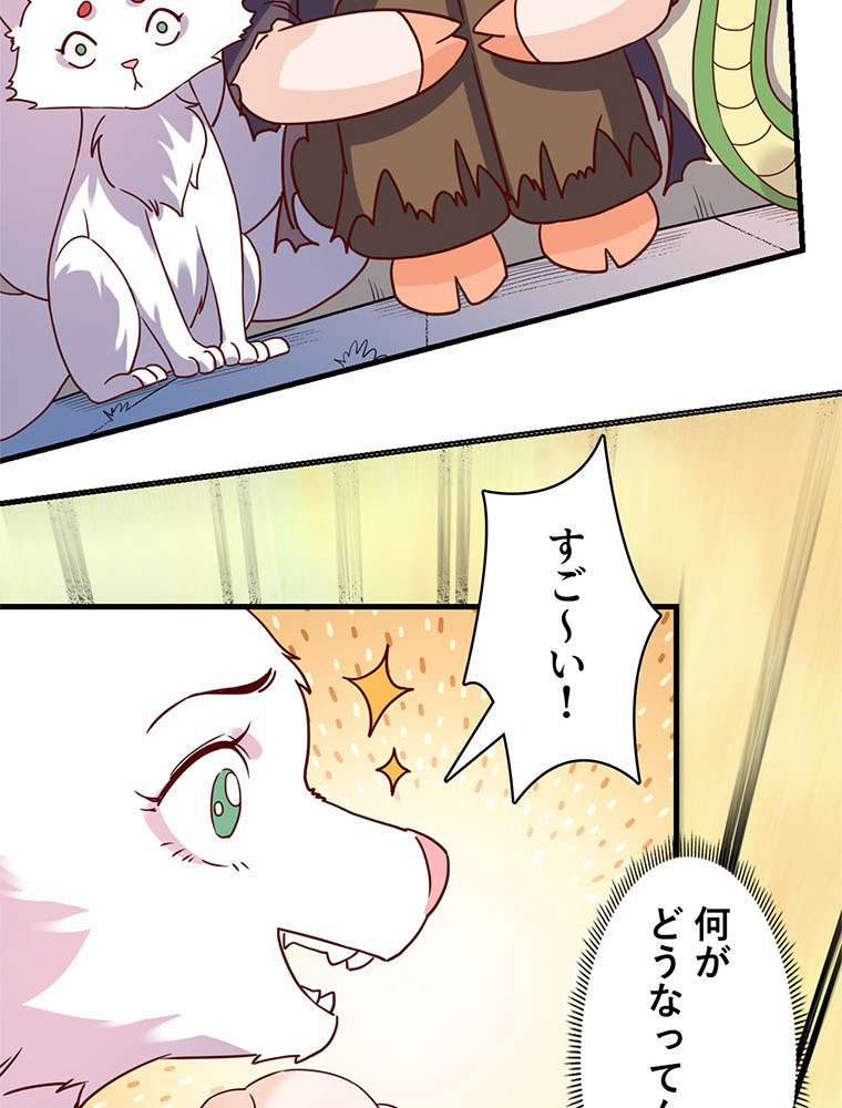 P63