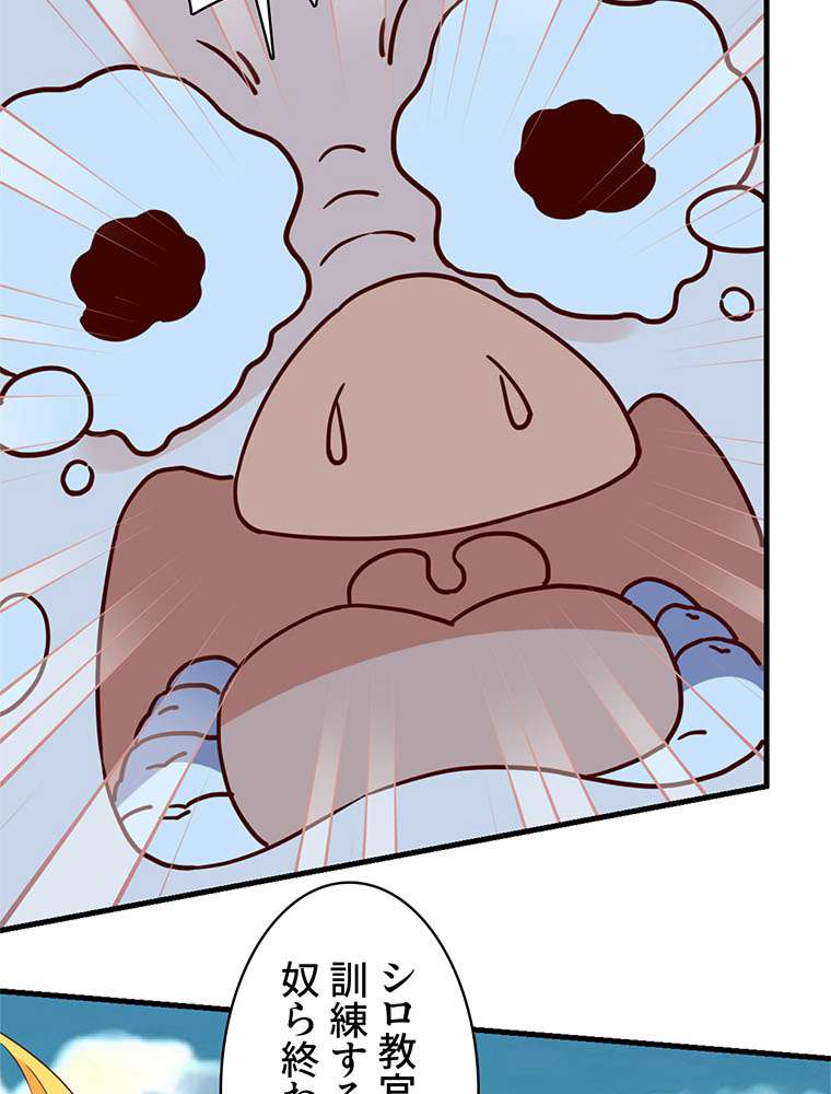 P66