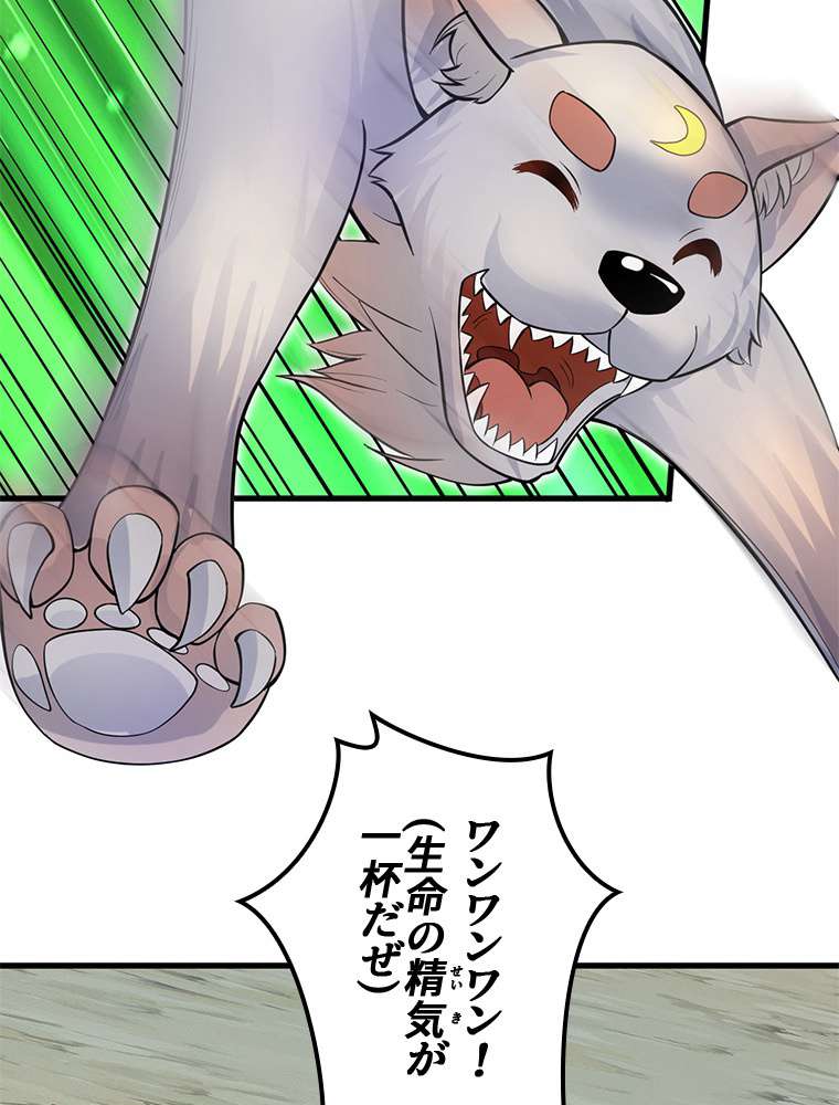 P53