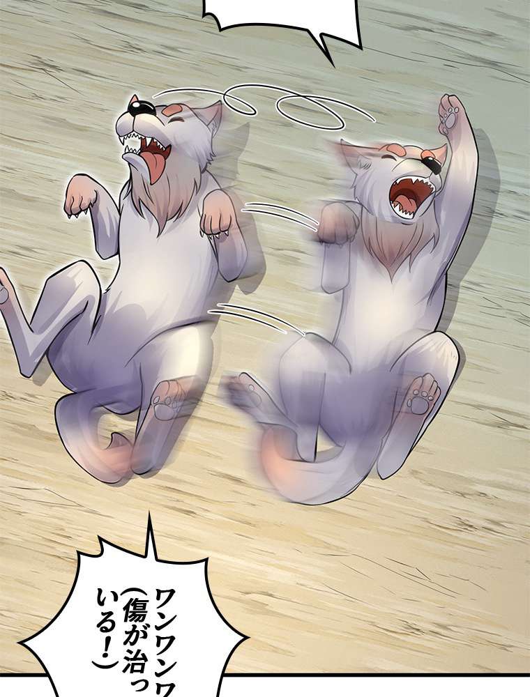 P54