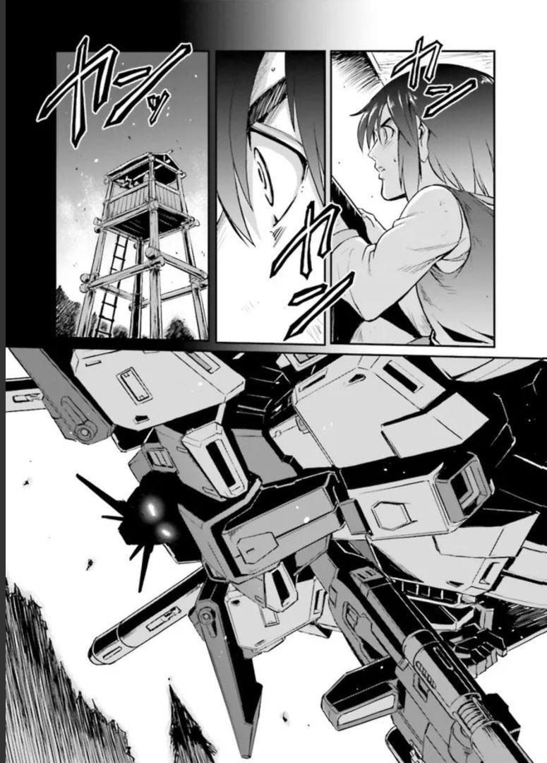 P61
