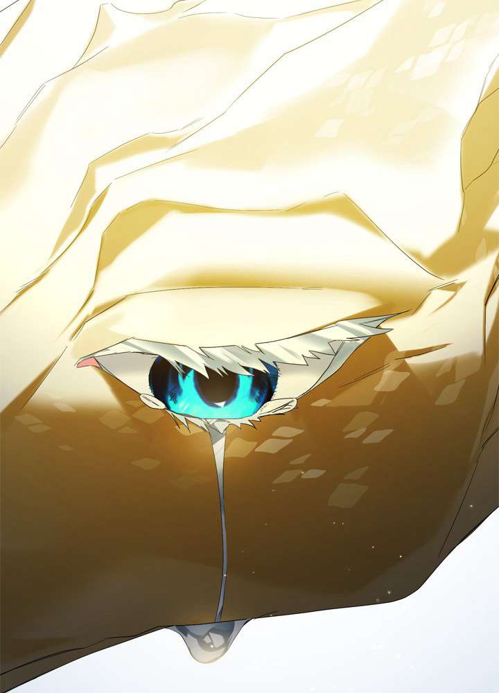P78