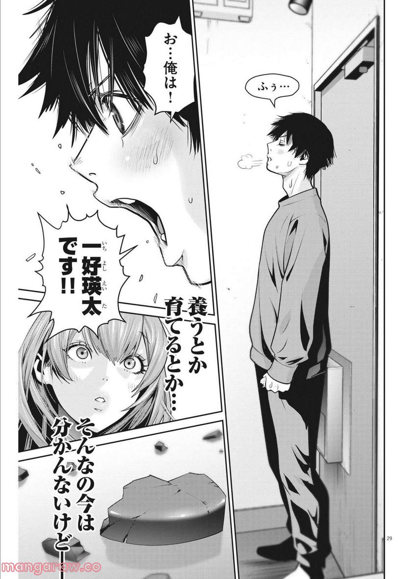 P29