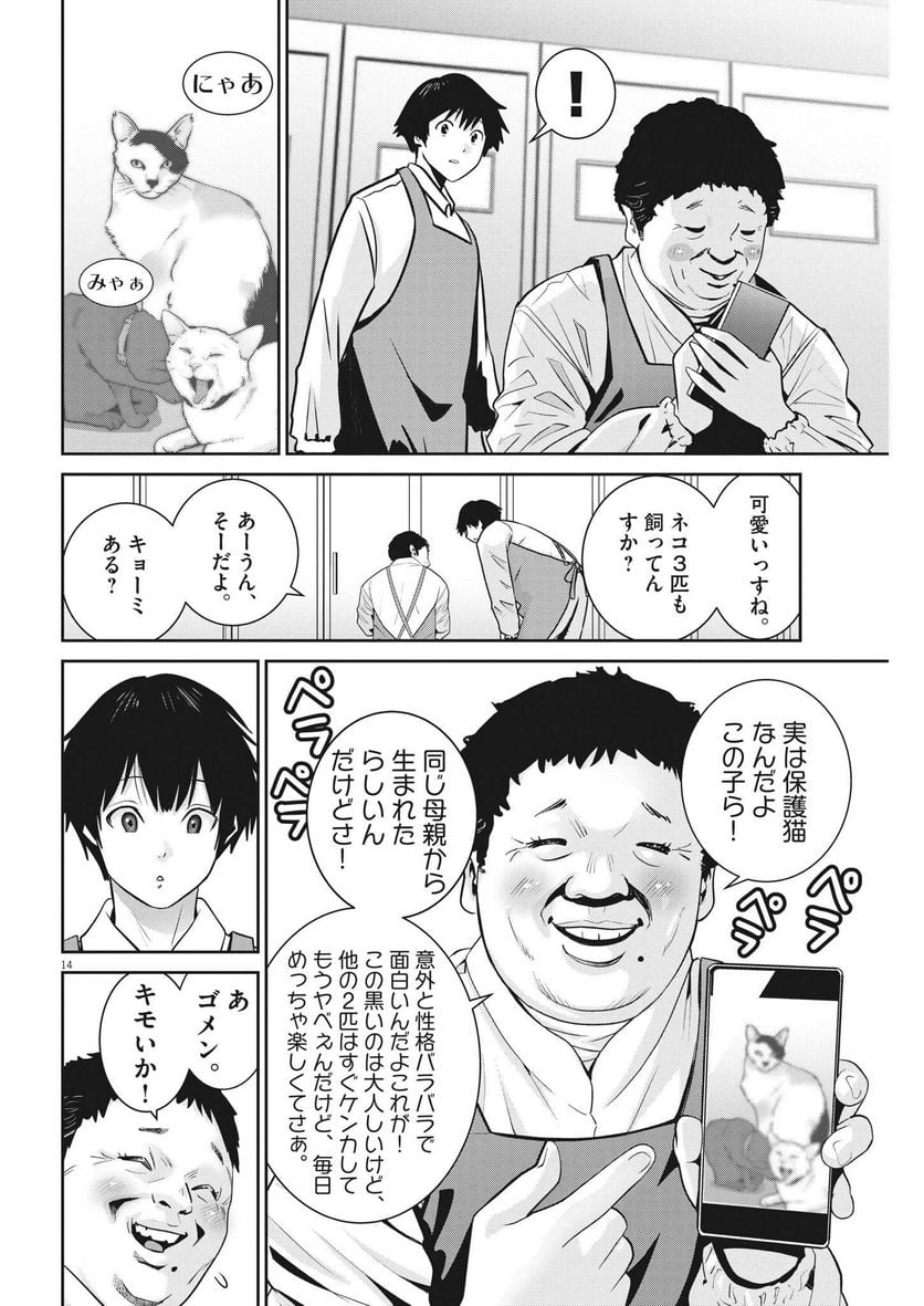 P14