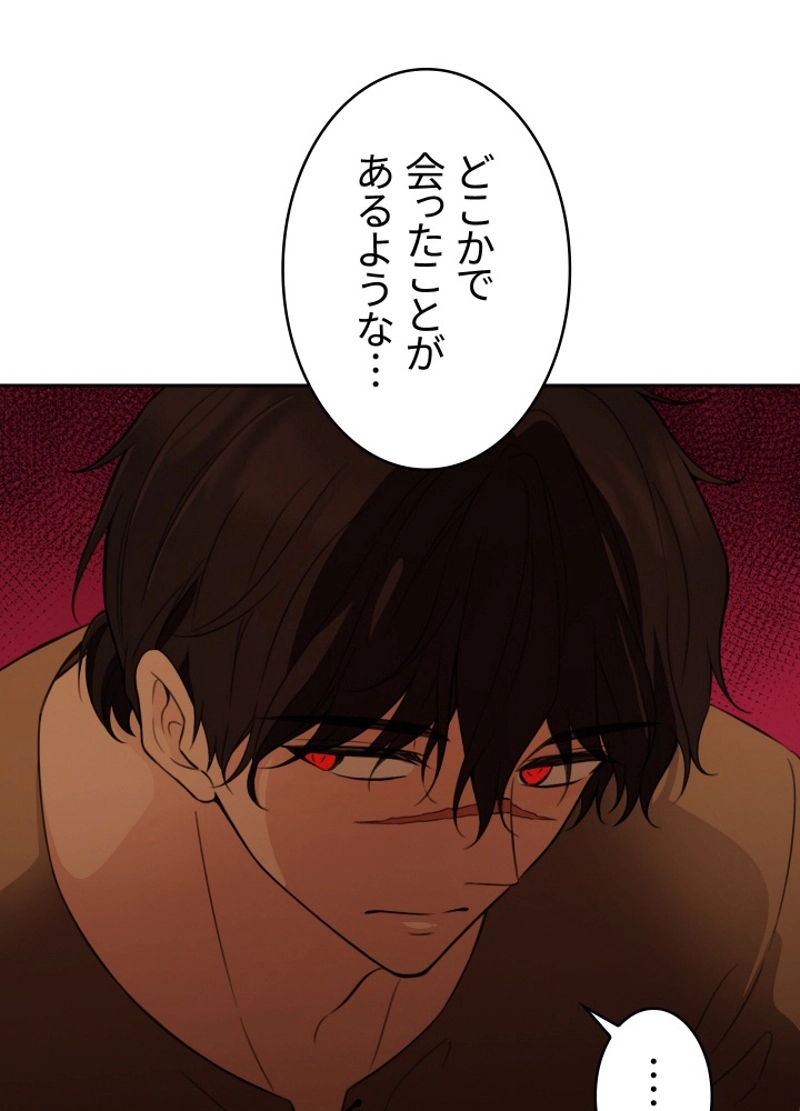 P66