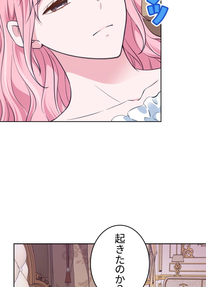 P66