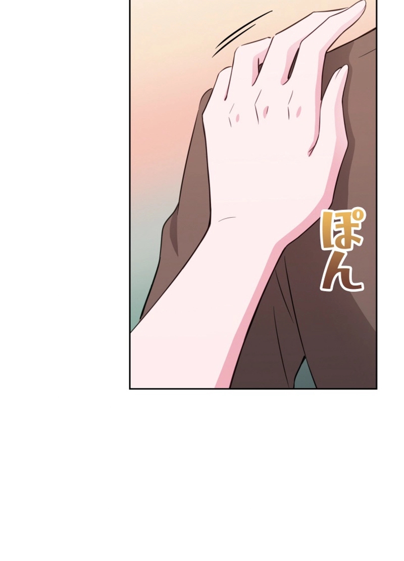P66
