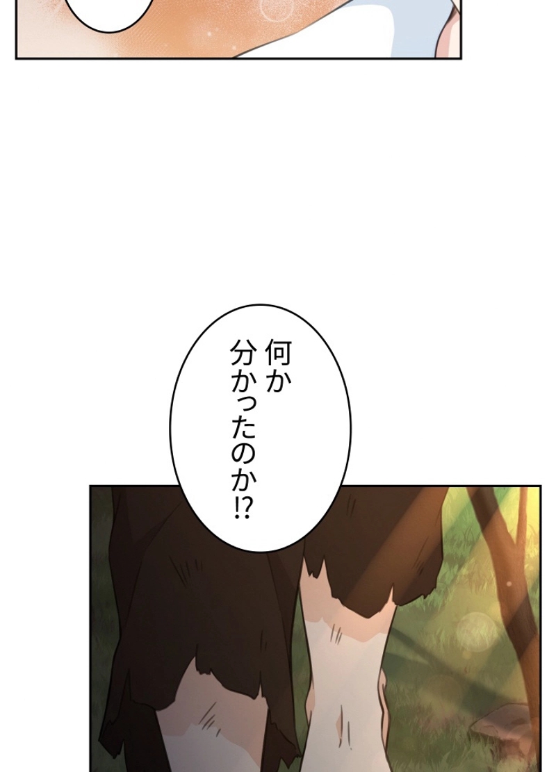 P66