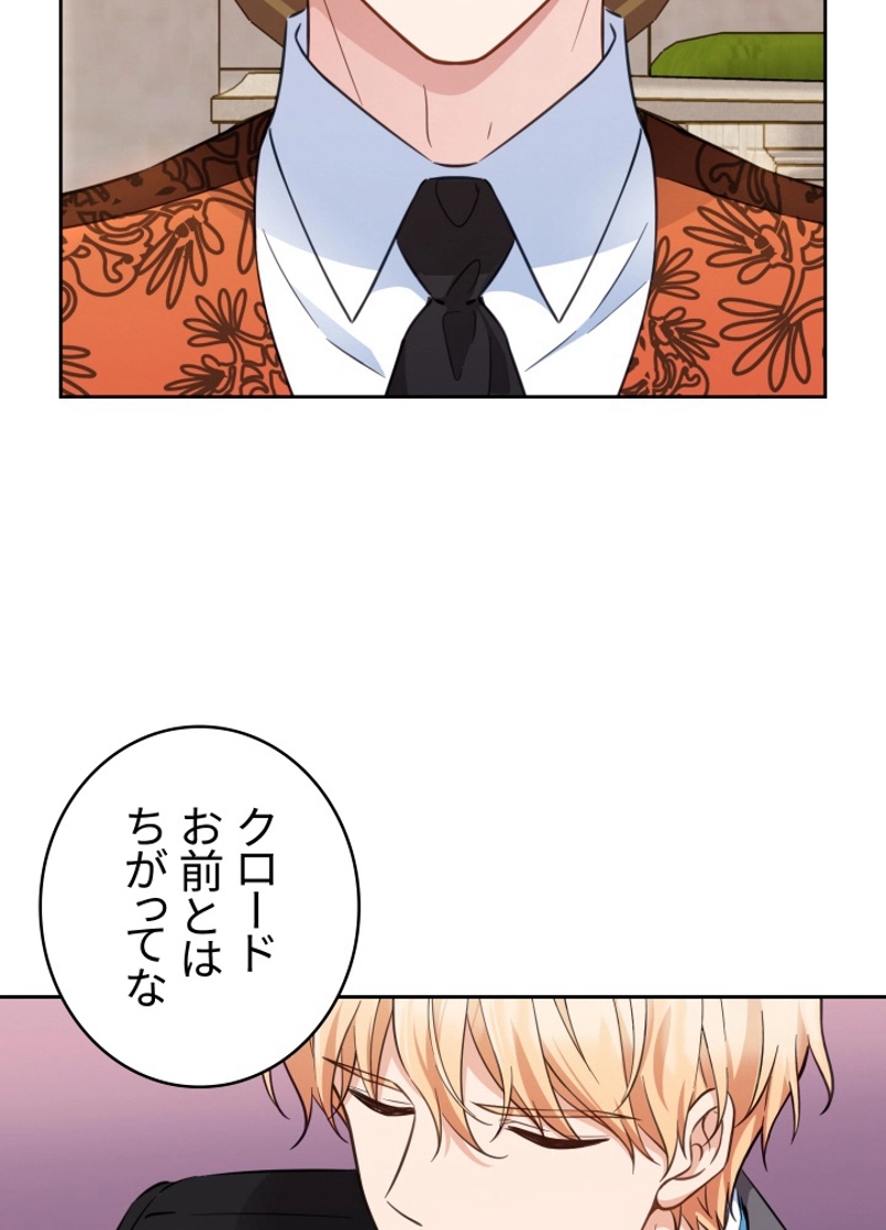P63