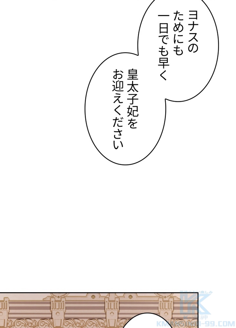 P61