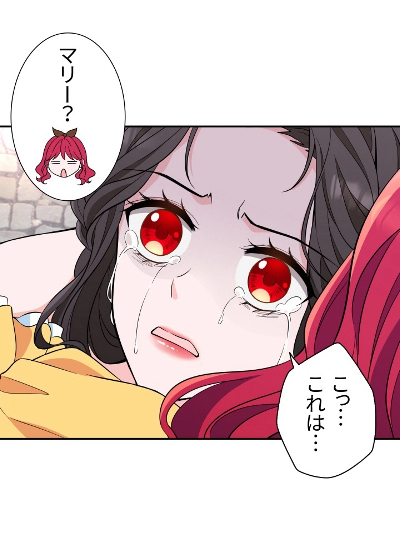 P53