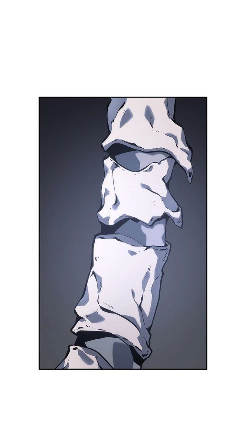 P81