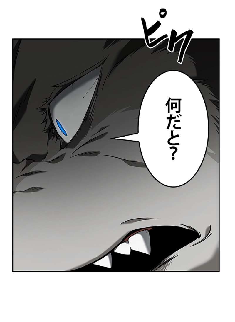 P135