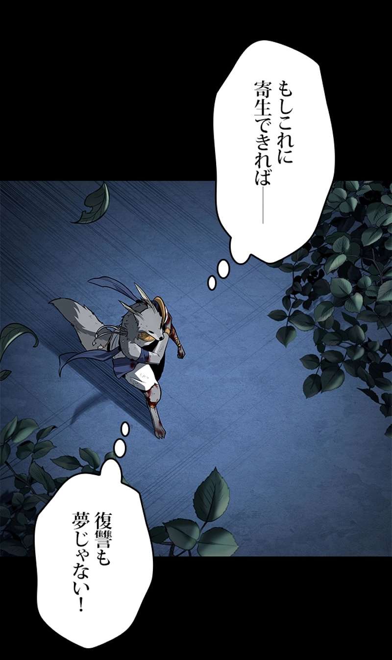 P42