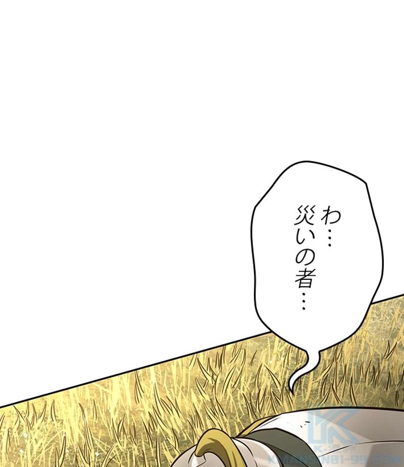 P53