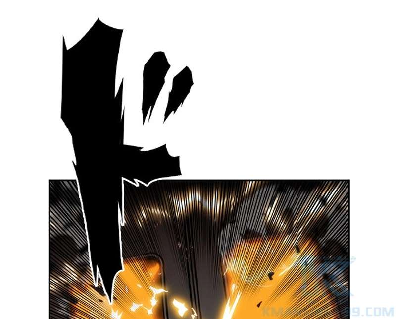 P113