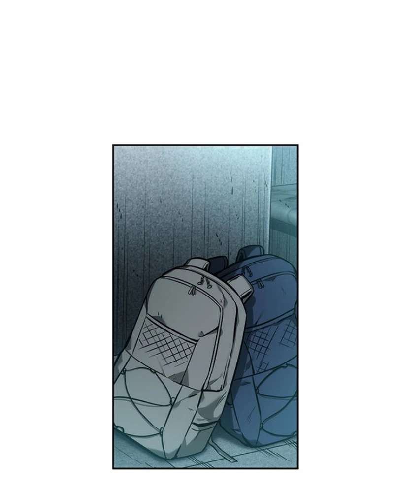 P66