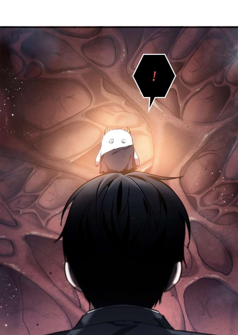 P66