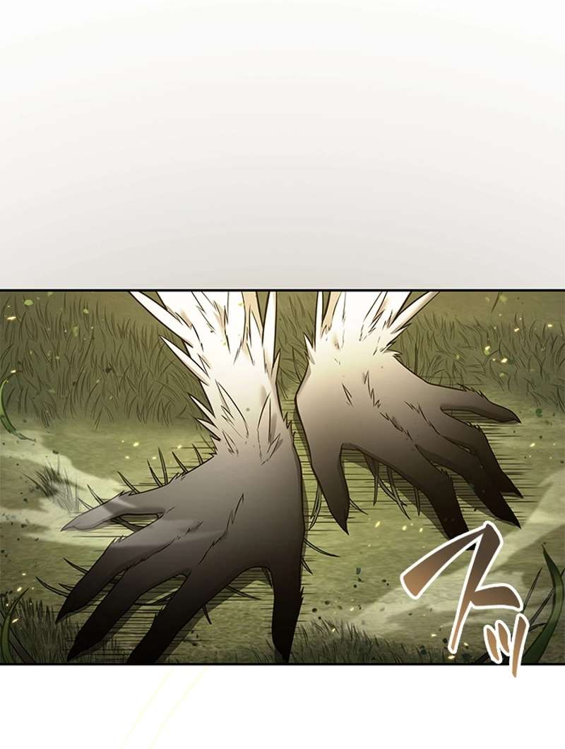 P55