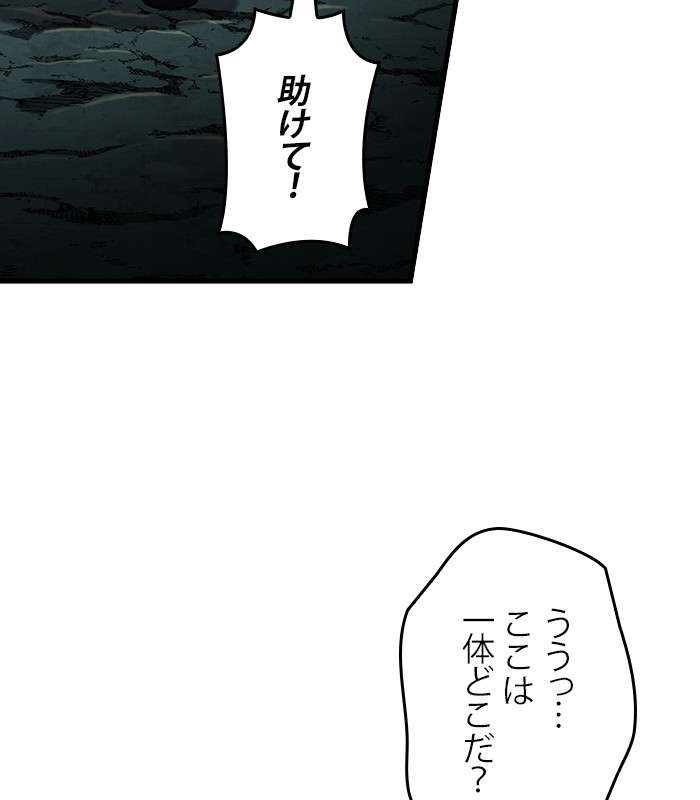 P66