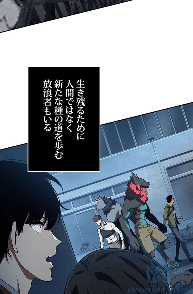 P53