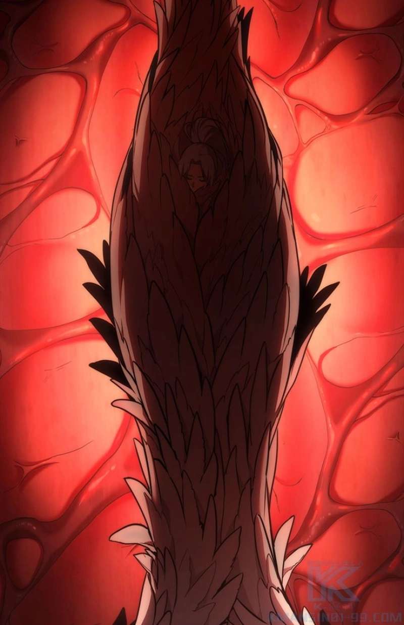 P53