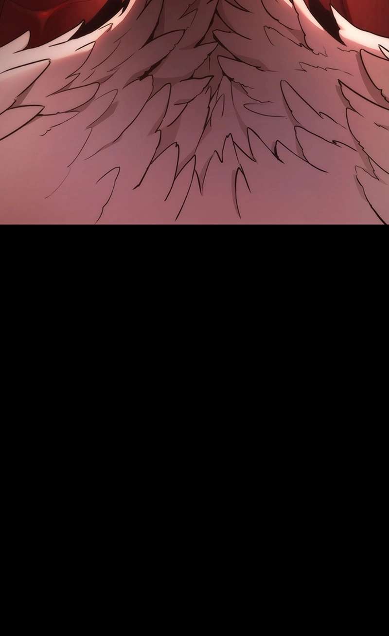 P54