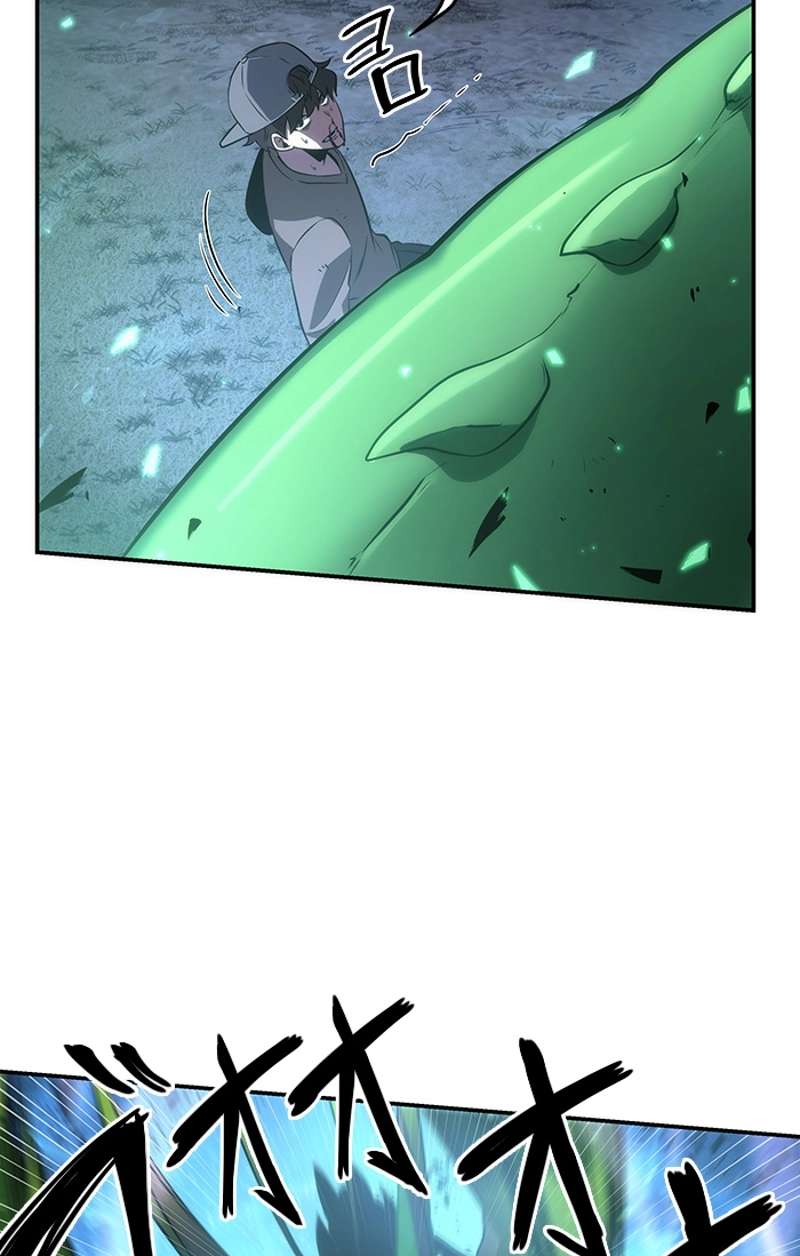 P63