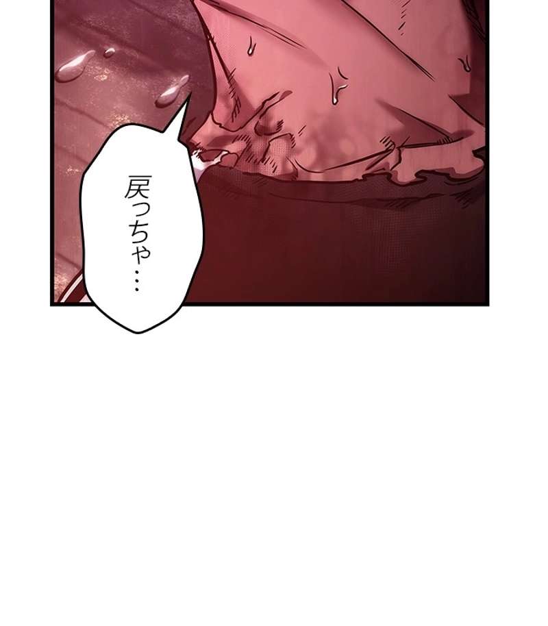 P66