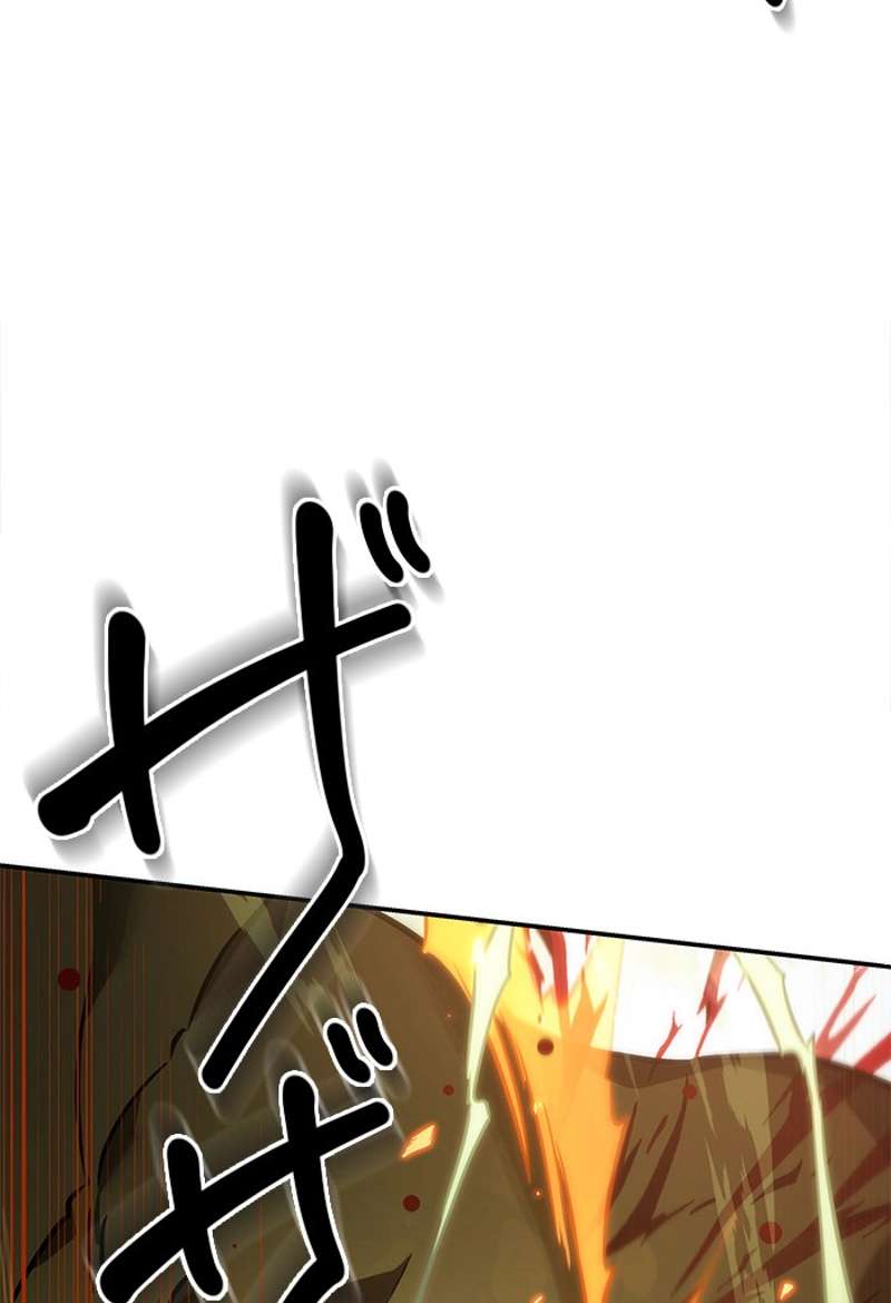 P63