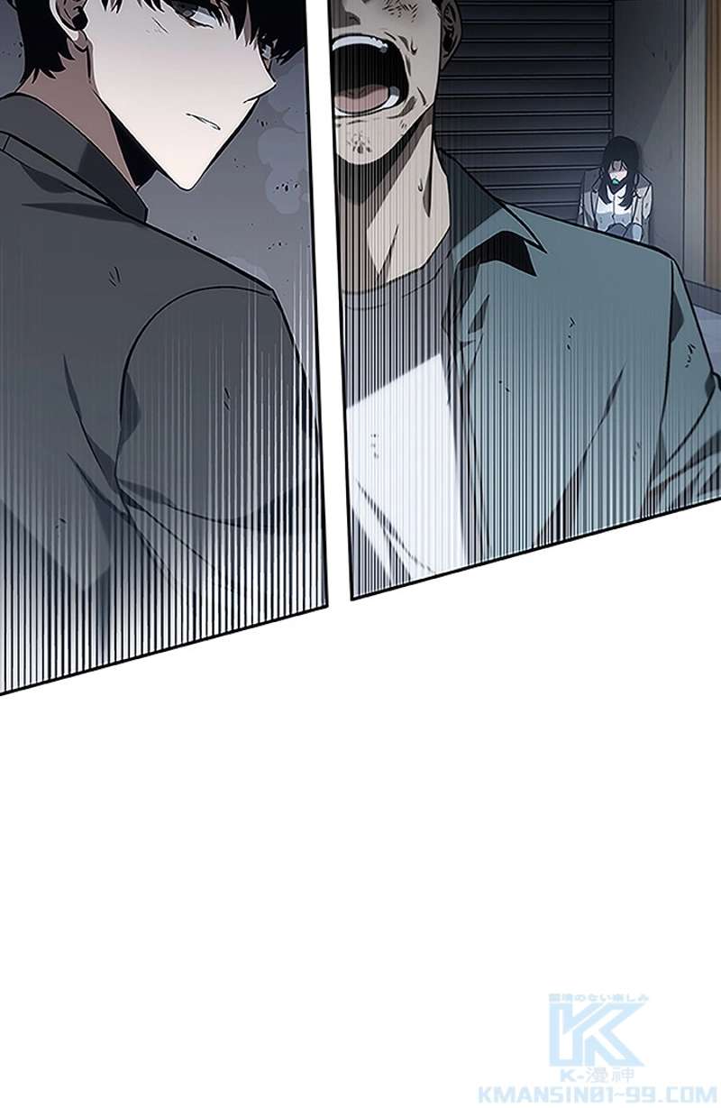 P113