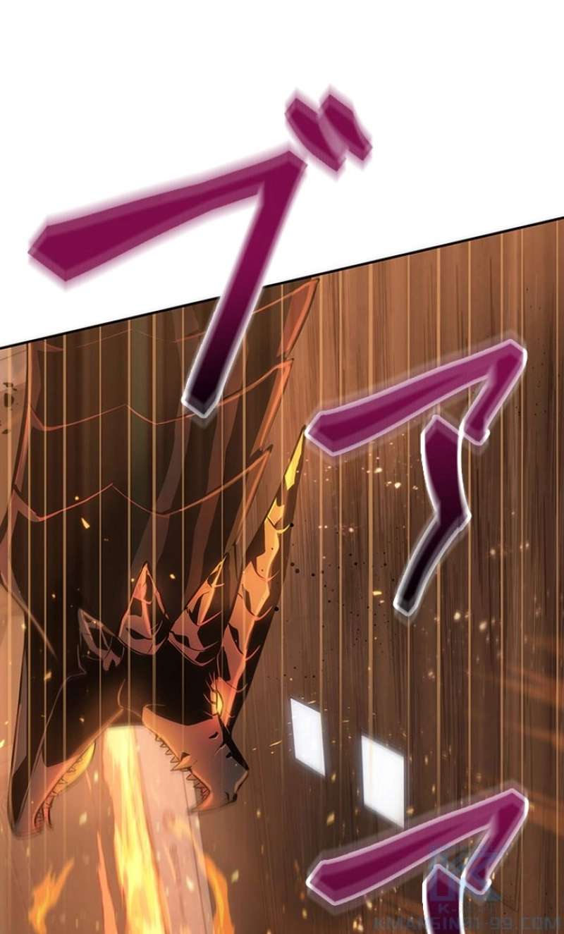 P113