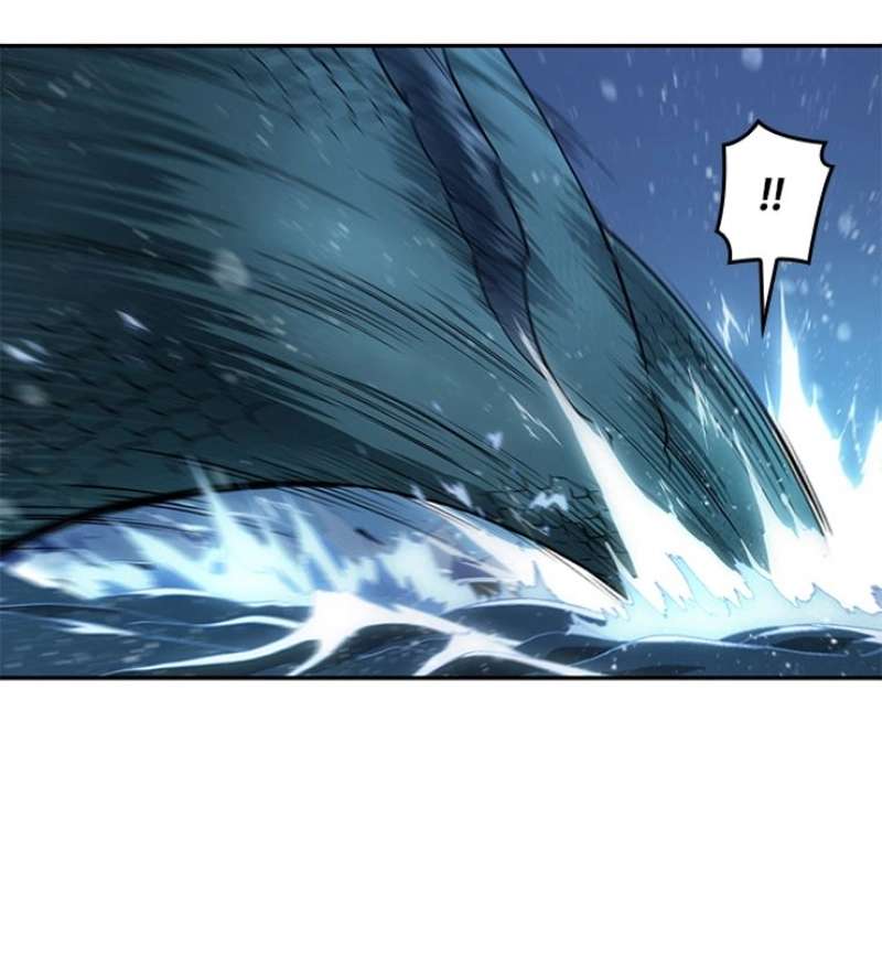 P24